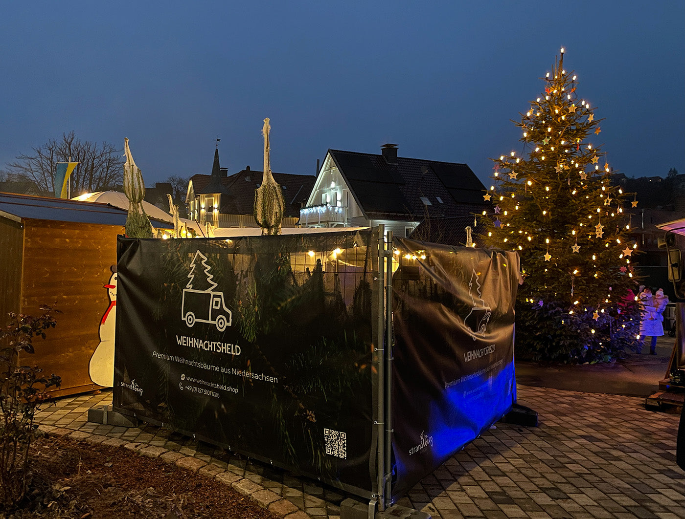 Nordmann-Tanne: Größe L